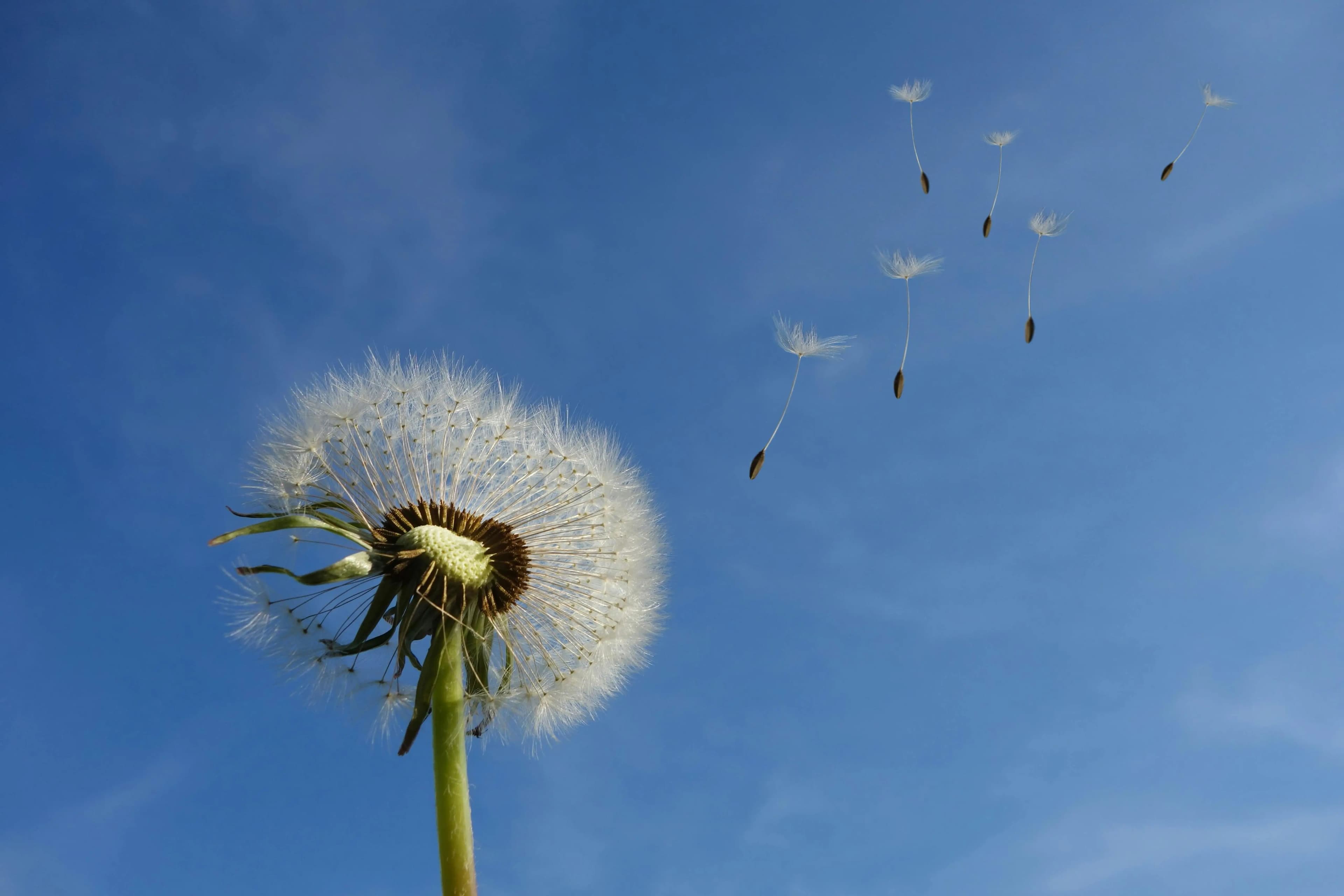 Grief Quotes for Anniversaries & Special Days: Words to Hold You Through Tender Dates